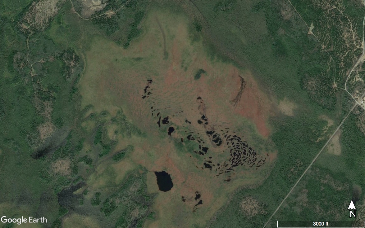 Google Earth image of Crystal Bog area. Scale at lower right marks 3000 feet.