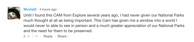 Wuvtail / 4 hours ago. Until I found this cam from explore several years ago, I had never given our national parks much thought at all as being important. This cam has given me a window into a world I would never be able to see in person and a much greater appreciation of our national parks and the need for them to be preserved.