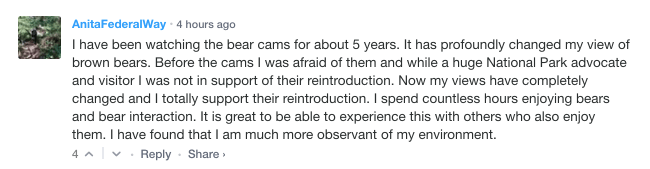 AnitaFederalWay / 4 hours ago. I have been watching the bear cams for about 5 years. It has profoundly changed my view of brown bears. Before the cams I was afraid of them and while a huge national park advocate and visitor i was not in support of their reintroduction. Now my views have completely changed and i totally support their reintroduction. I spent countless hours enjoying the bears and ear interaction. It is great to be able to experience this with others who also enjoy them. I have found that I am much more observant of my environment.