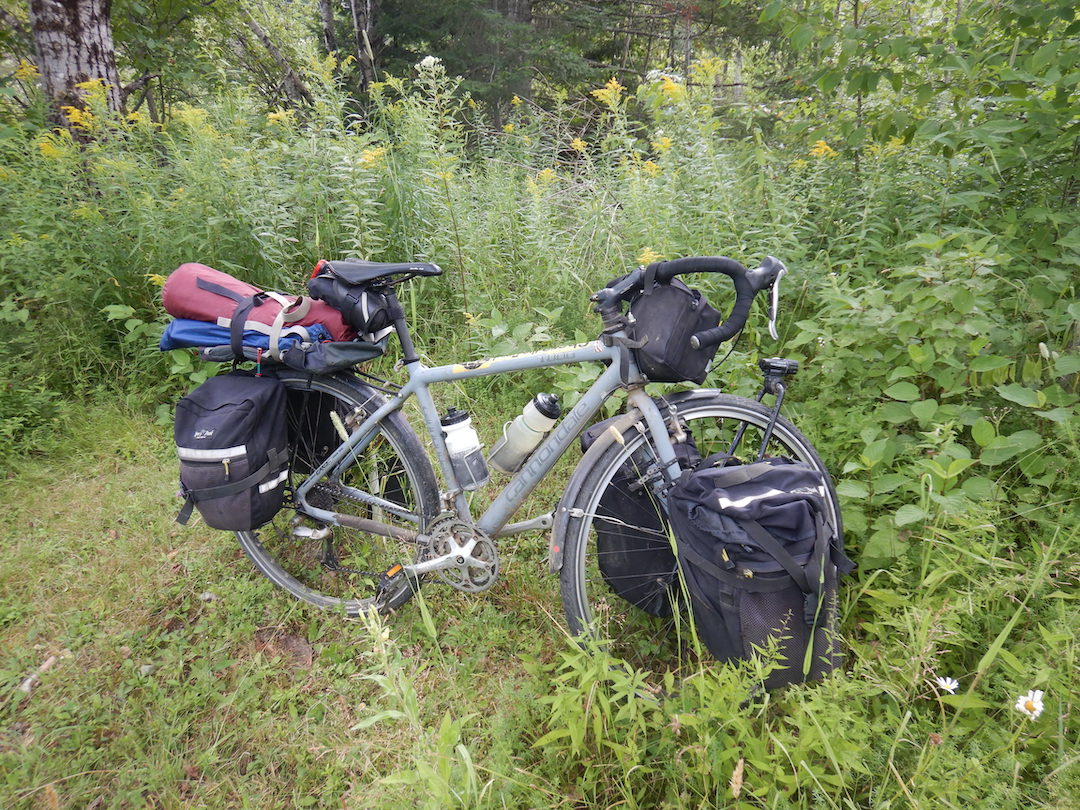 Bicycle with drop handle bars, gray paint, and bags on racks on front and rear. Bike is surrounded by goldenrods and other plants.