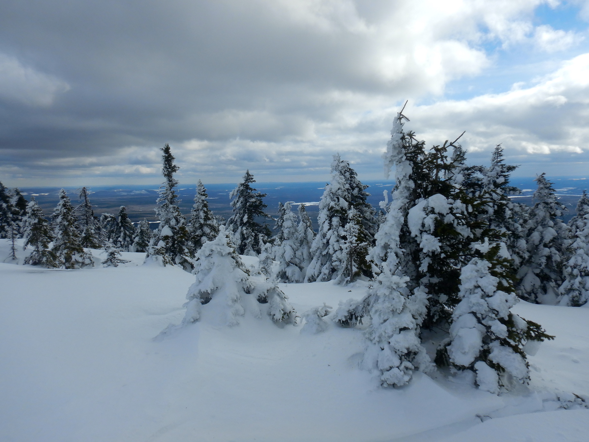 View from a mountain of a forested landscape. Only a sliver of the lowlands are visible. Snow and trees fill the fore and middle ground. The trees are snow covered, especially on their left side.