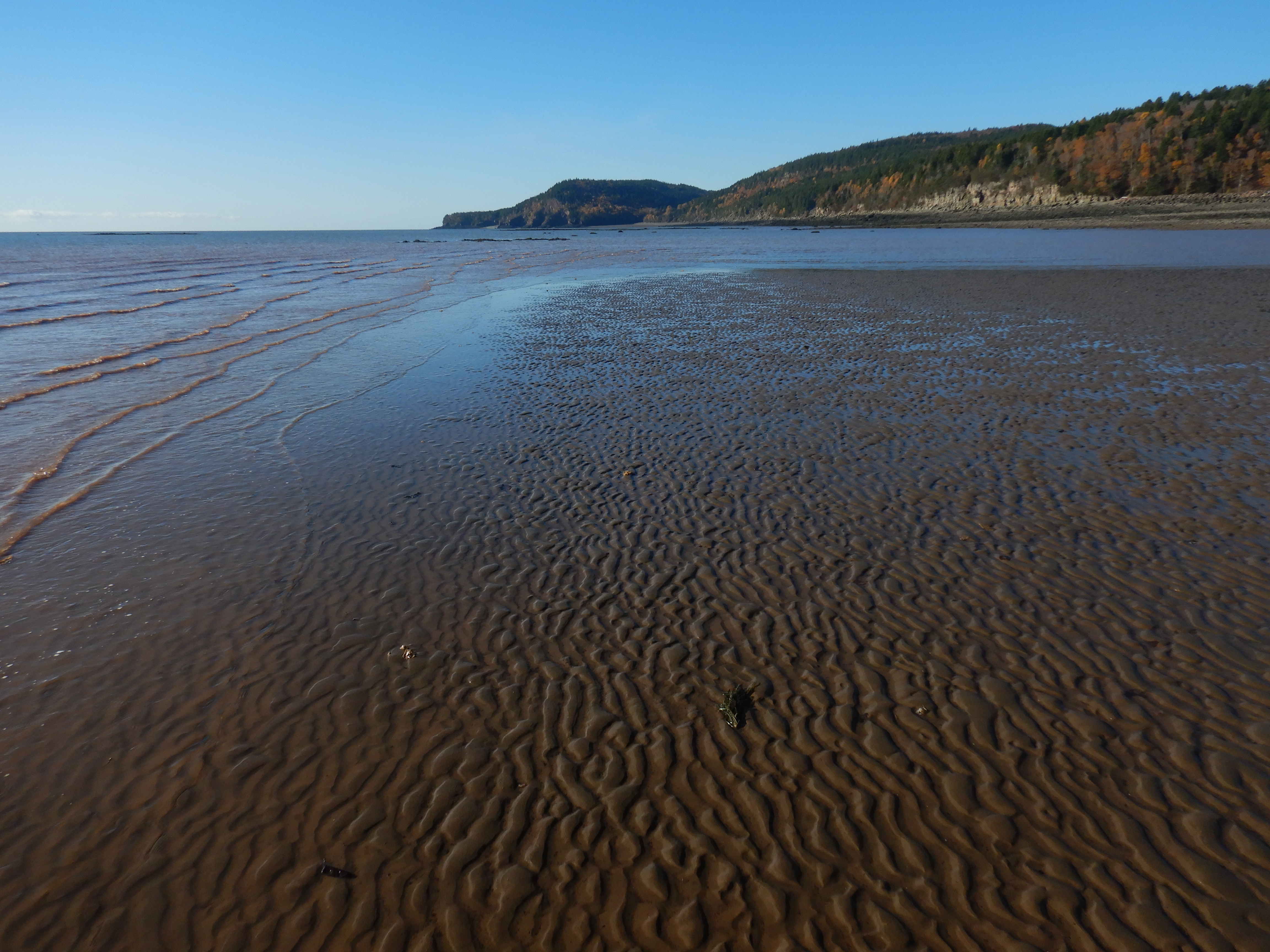 sandy mudflats with a rippled surface border muddy water. Blue skies and tall headlands mark the sky and horizon.