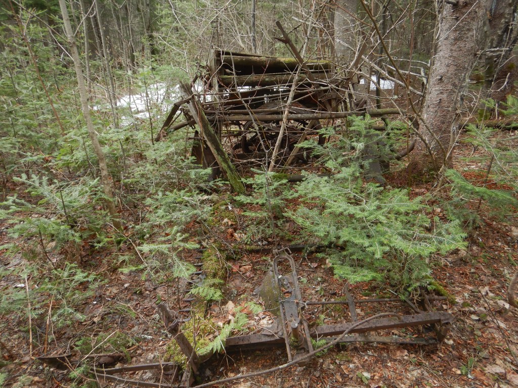 Side view of rusting farm equipment in forest setting. Small trees surround the machinery. Internal gears and handles are visible.