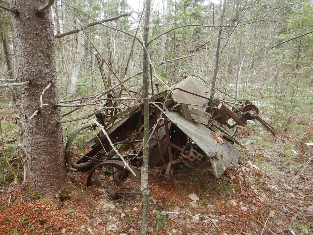 Rusting farm equipment in forest setting. Small trees surround the machinery. Internal gears and handles are visible.